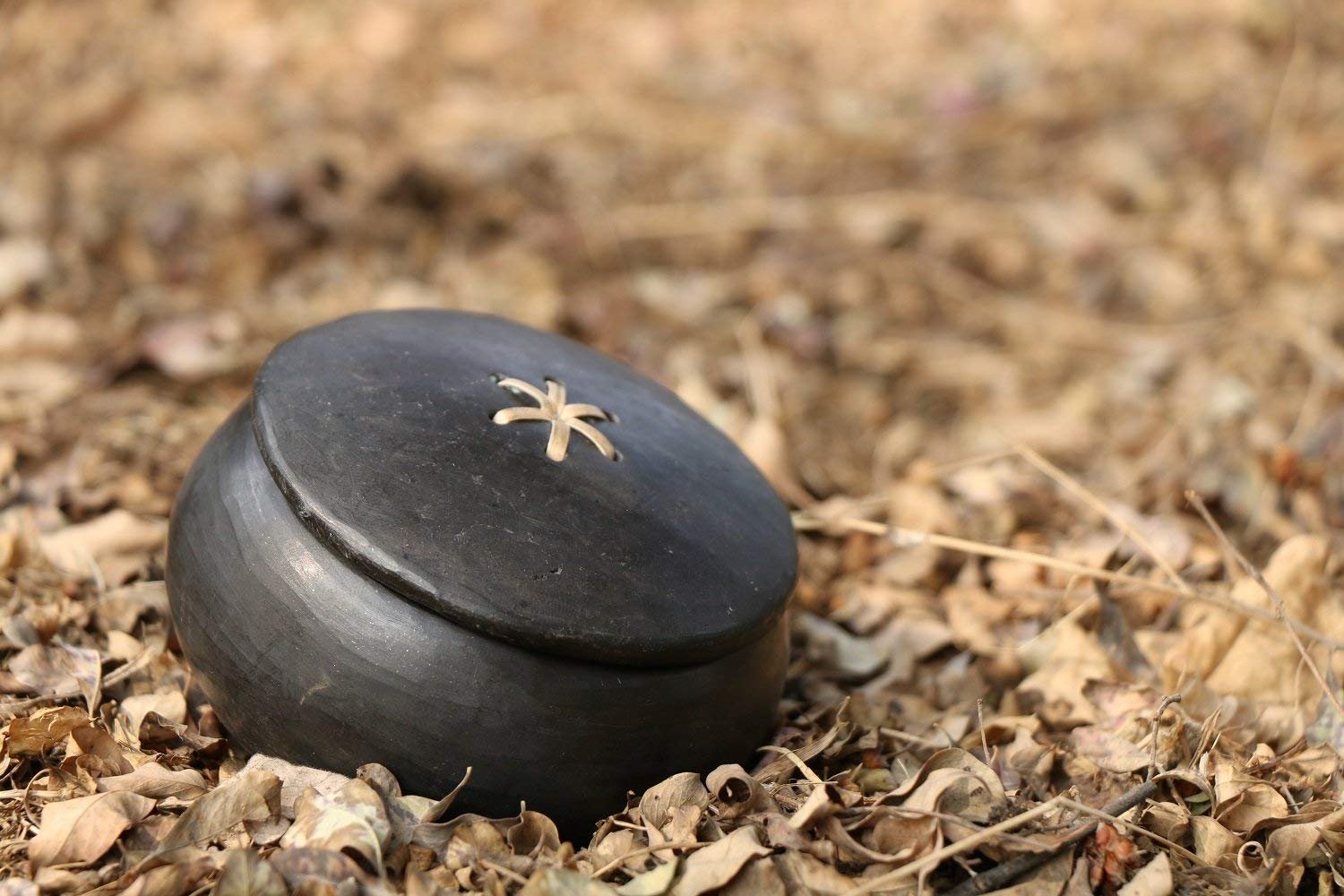 Luxurious Manipur Pottery Clay Small Sugar Cup/Pot - Image 3