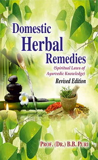 Domestic Herbal Remedies (paperback) - Image 2